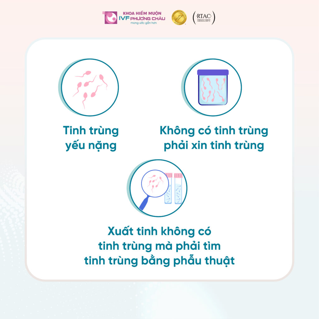IVF là gì? Được chỉ định khi nào?
