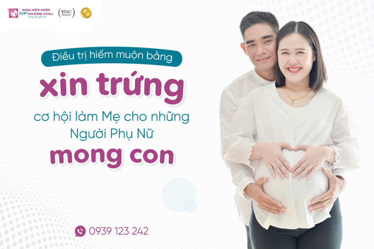 Xin Trứng – Cơ Hội Làm Mẹ Cho Những Người Phụ Nữ Mong Con