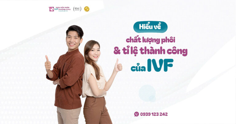 Chất Lượng Phôi Và Tỷ Lệ Thành Công Trong Điều Trị IVF