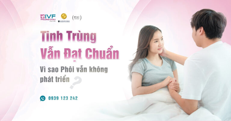 Tinh Trùng Vẫn Đạt Chuẩn Nhưng Phôi Không Phát Triển
