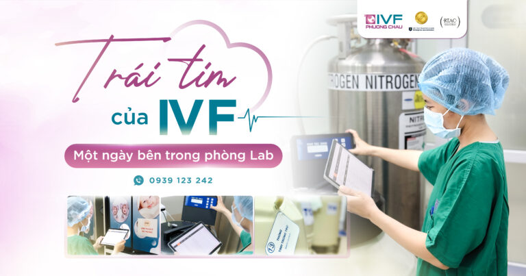 “Trái Tim” Của IVF: Khám Phá Một Ngày Bên Trong Phòng Lab IVF Phương Châu