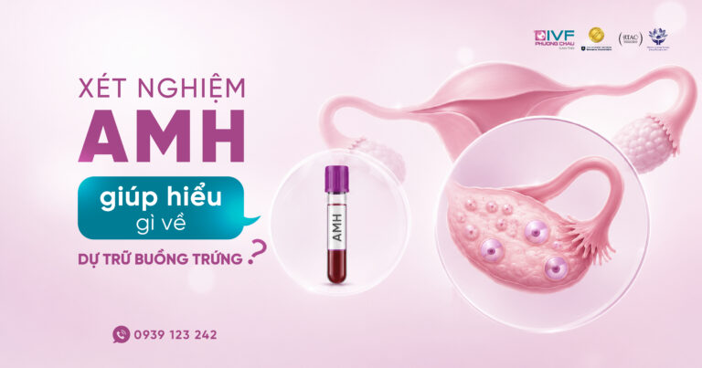 AMH thấp hoặc cao có đồng nghĩa khó mang thai?